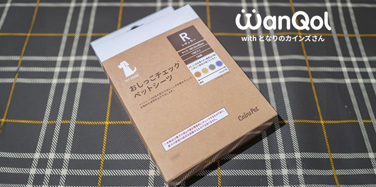 犬のおしっこがいつもと違う？