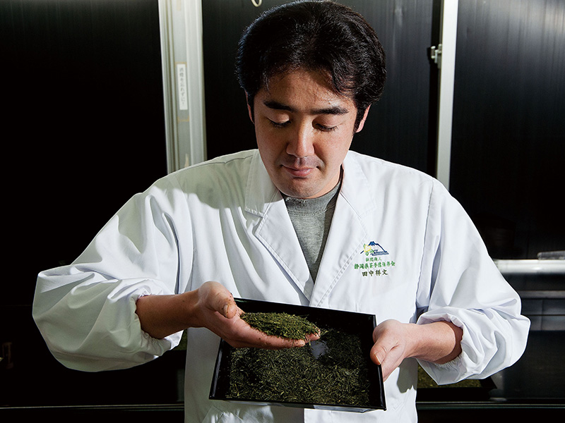 濃茶入れ ケース販売】濃いお茶(茶師10段監修) 350ml×24本 | 飲料・水