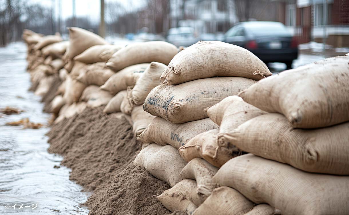 カインズ UV土のう(1年耐候) 48×62cm 10枚入 | 台風・水害対策用品