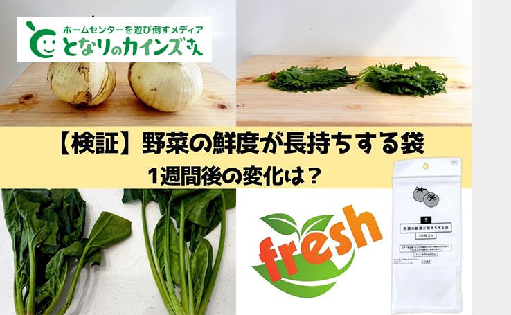 カインズの『野菜の鮮度が長持ちする袋』ってどれくらい効果あるの？ いろんな野菜で検証してみた