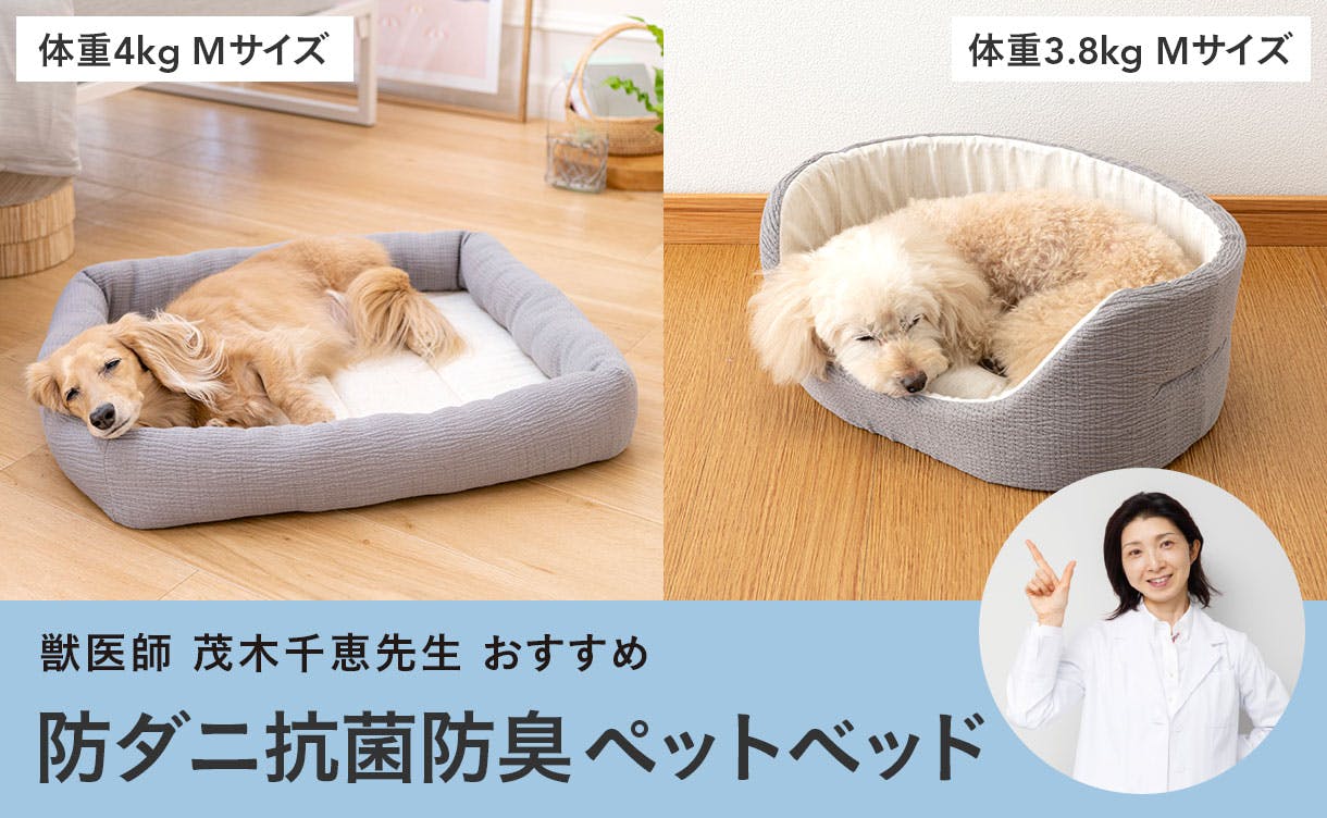 獣医師 茂木千恵先生おすすめ 防ダニ抗菌防臭ペットベッド