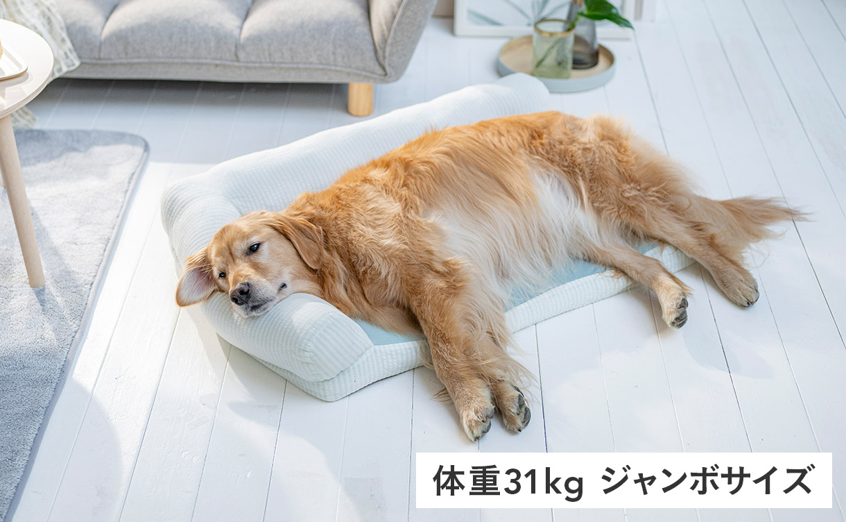 もっとひんやり縁付きジャンボマット ミントグリーン | ペット