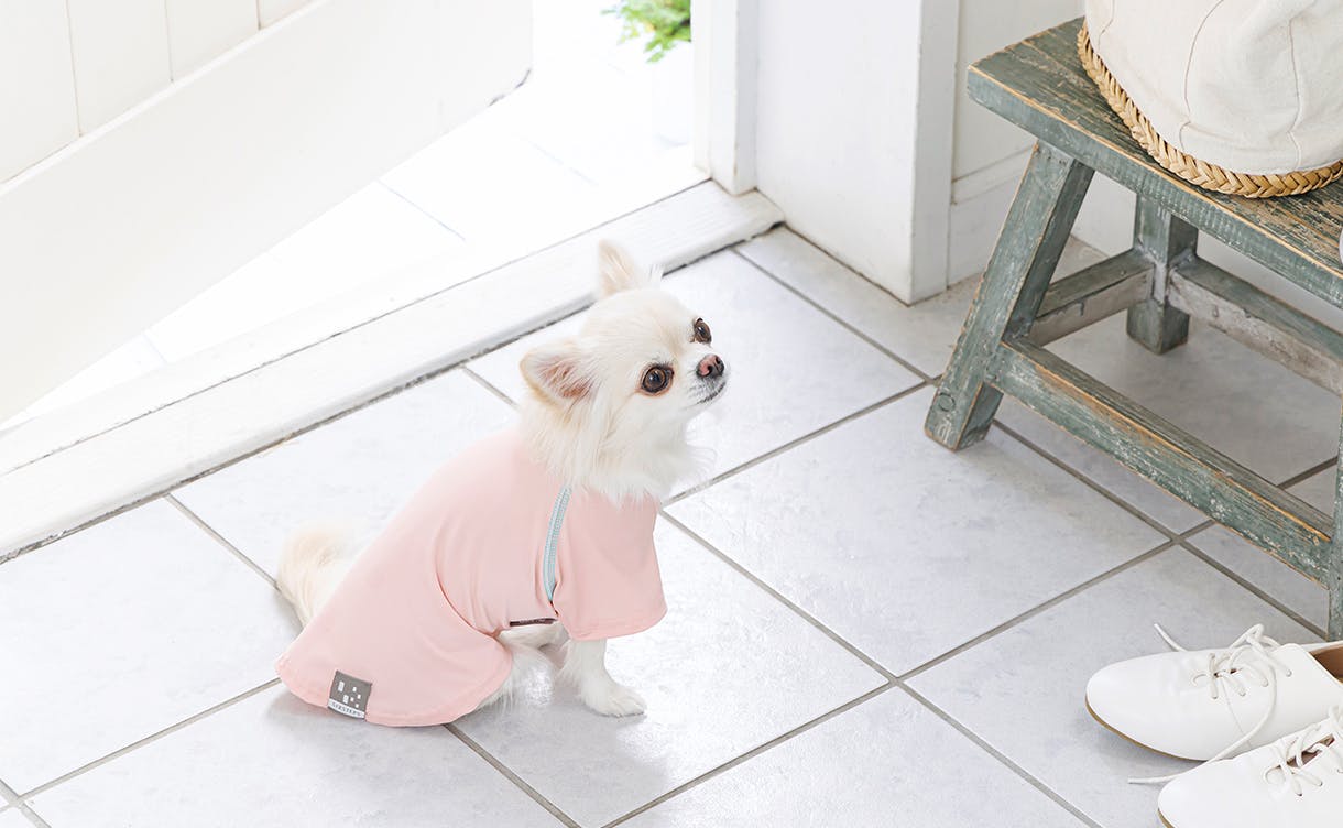 犬用ペットウェア「花粉対策カットソー」