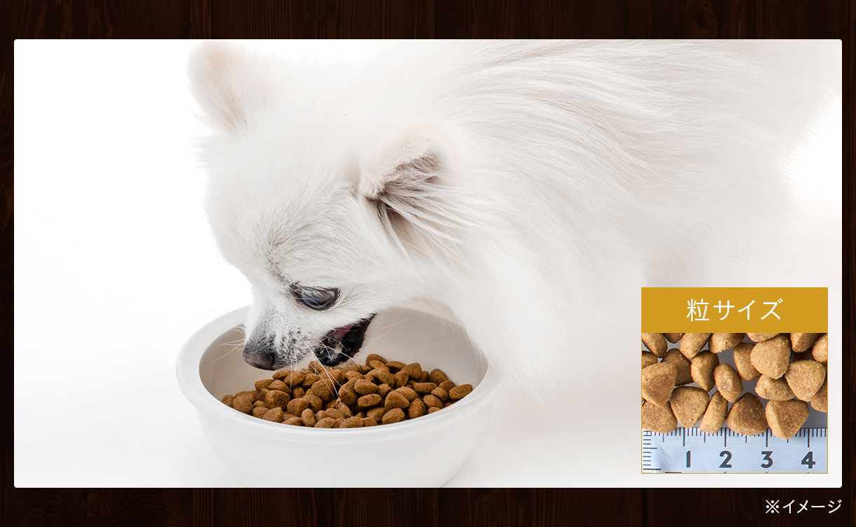 スマイリア 牛肉と玄米のぜいたく素材ごはん 1kg 成犬用