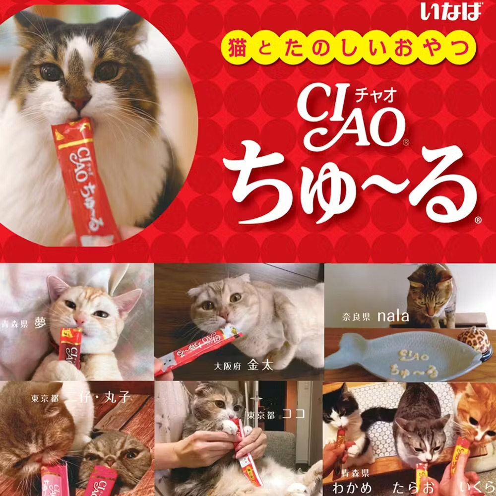 CIAO ちゅ～る 下部尿路配慮 とりささみ海鮮ミックス味 14g×20本
