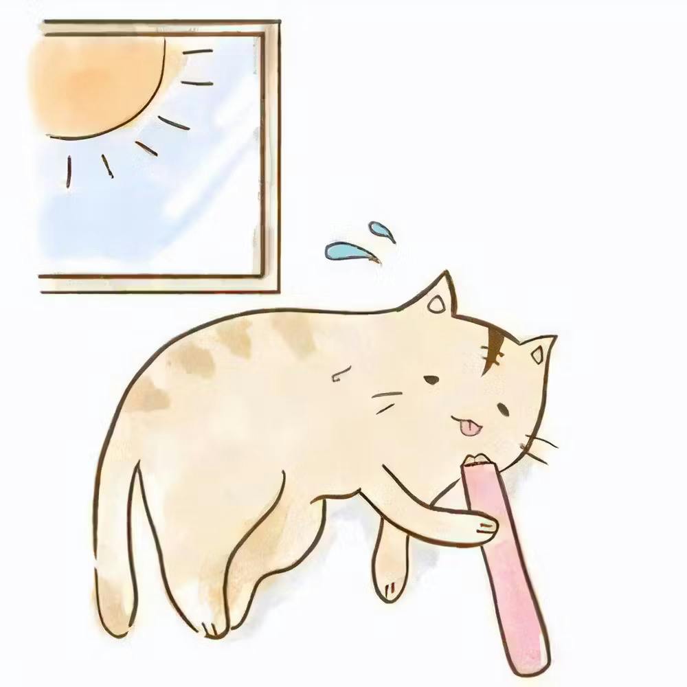 水分補給にぴったり