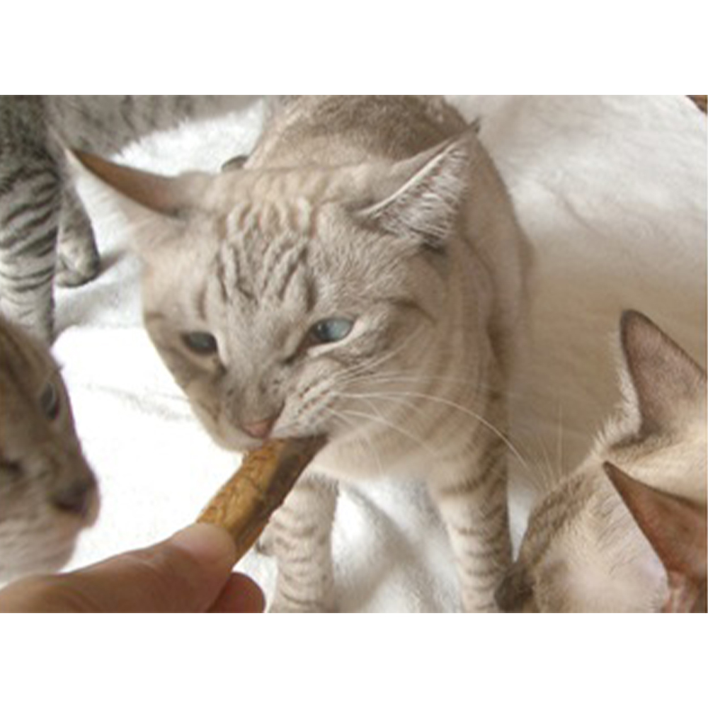 焼かつお 高齢猫用 10本入り(販売終了) | ペット用品(猫) 通販 焼かつお 高齢猫用 10本入り(販売終了) | ペット用品(猫) 通販