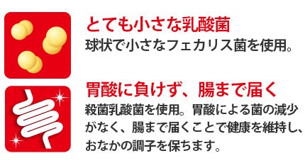 とても小さな乳酸菌・胃酸に負けず腸まで届く