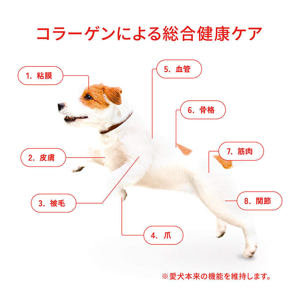 ダイエットフード NO グラン・デリ カリカリ仕立て 成犬用 味わいビーフ入りセレクト