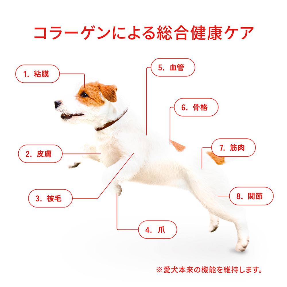 ビューティープロ ドッグ ダイエット 200g | ドッグフード 通販