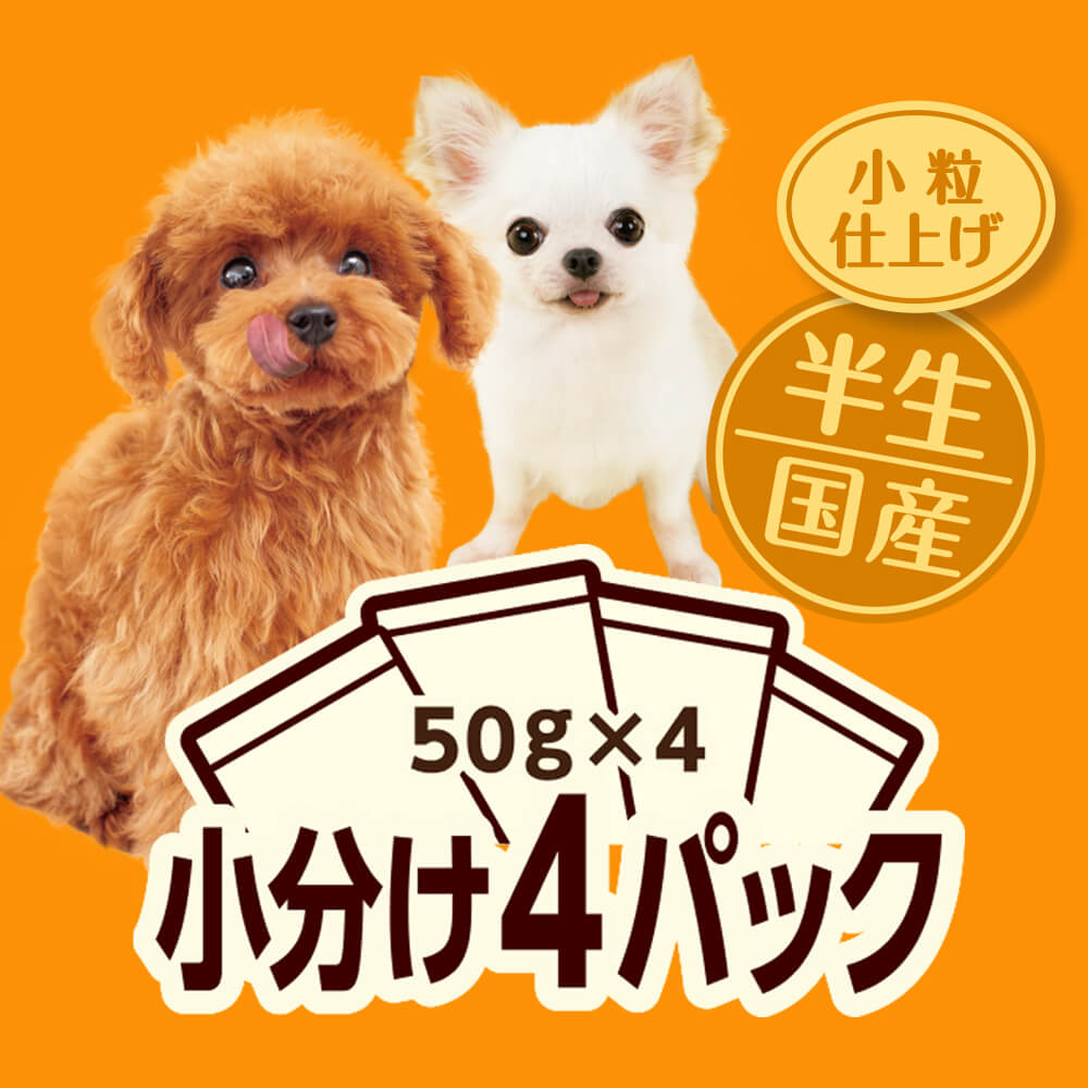 わんちゃん AZONE INTERNATIONAL::えっくす☆きゅーと::商品詳細
