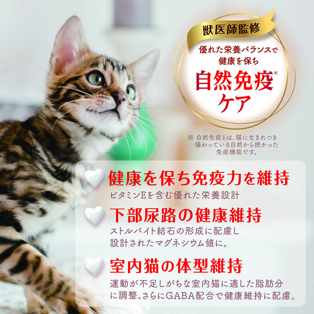 ロメロ・ブリットの猫による再解釈 ビューティープロ キャット 12ヶ月頃まで 子猫用 フィッシュ味