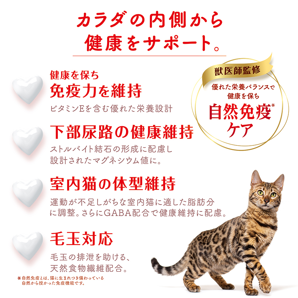 ビューティープロ キャット 1歳から 成猫用 フィッシュ味 600g