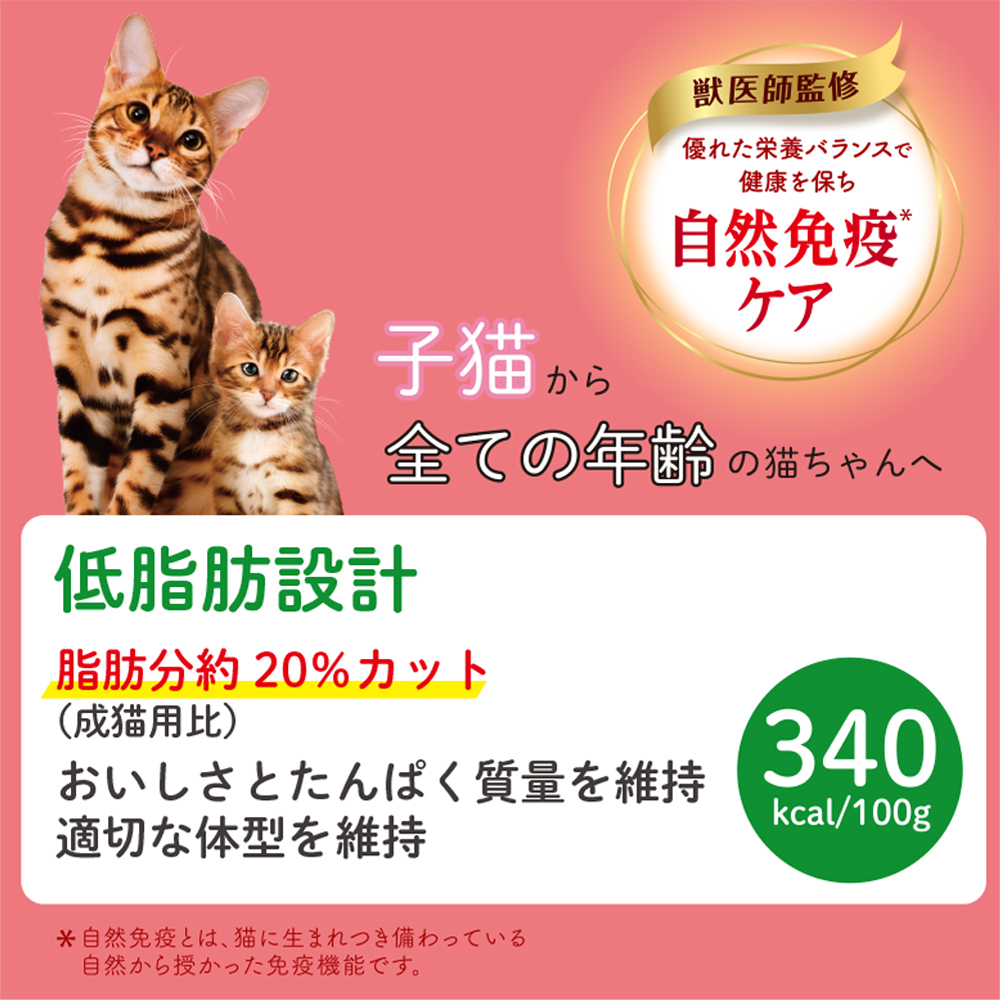 【まま猫(ΦωΦ）】注意→プロスペクターのみ１台です‼️ 零れたねこ。-Spilled Maru.- - YouTube
