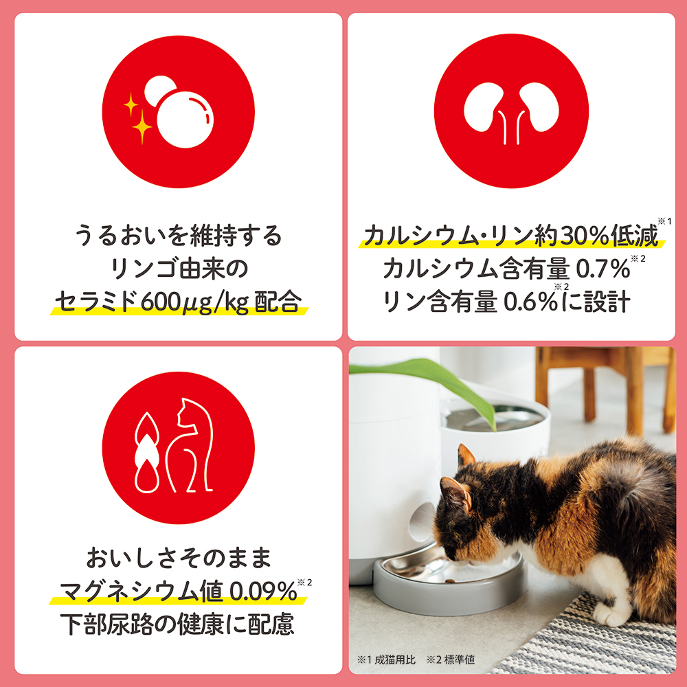 ビューティープロ　15歳　11袋 4902112043127_01.jpg