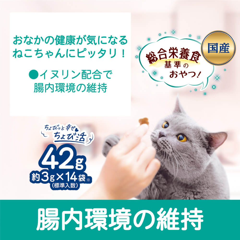 コンボ プレゼント おやつ 腸内環境の維持 シーフードミックス味 42g