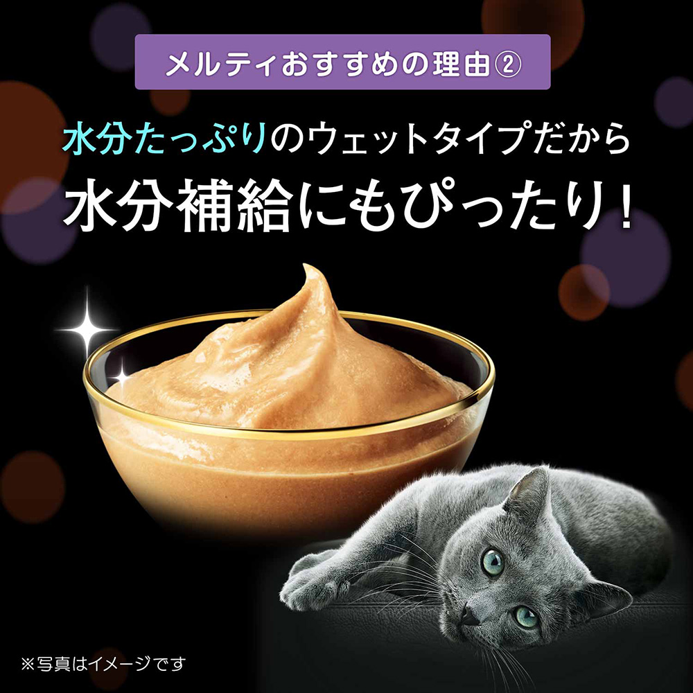 シーバ とろ～りメルティまぐろセレクション 20P SMT30 | おやつ（猫