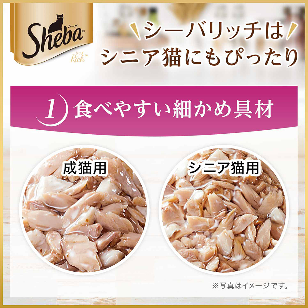 シーバ リッチ 3種のセレクション 贅沢お魚グルメアソート 6袋入り