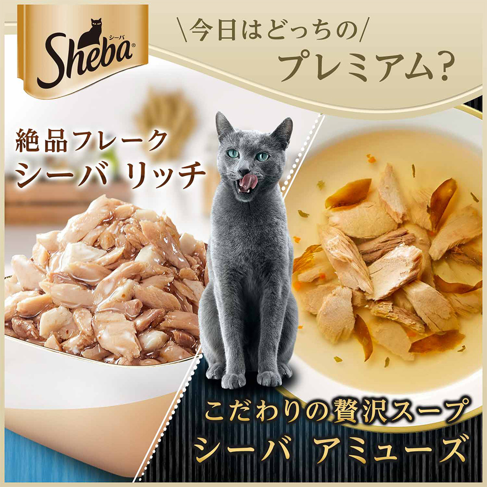 シーバ アミューズ お魚スープ 究極の2択 40g×6袋入 | ペット