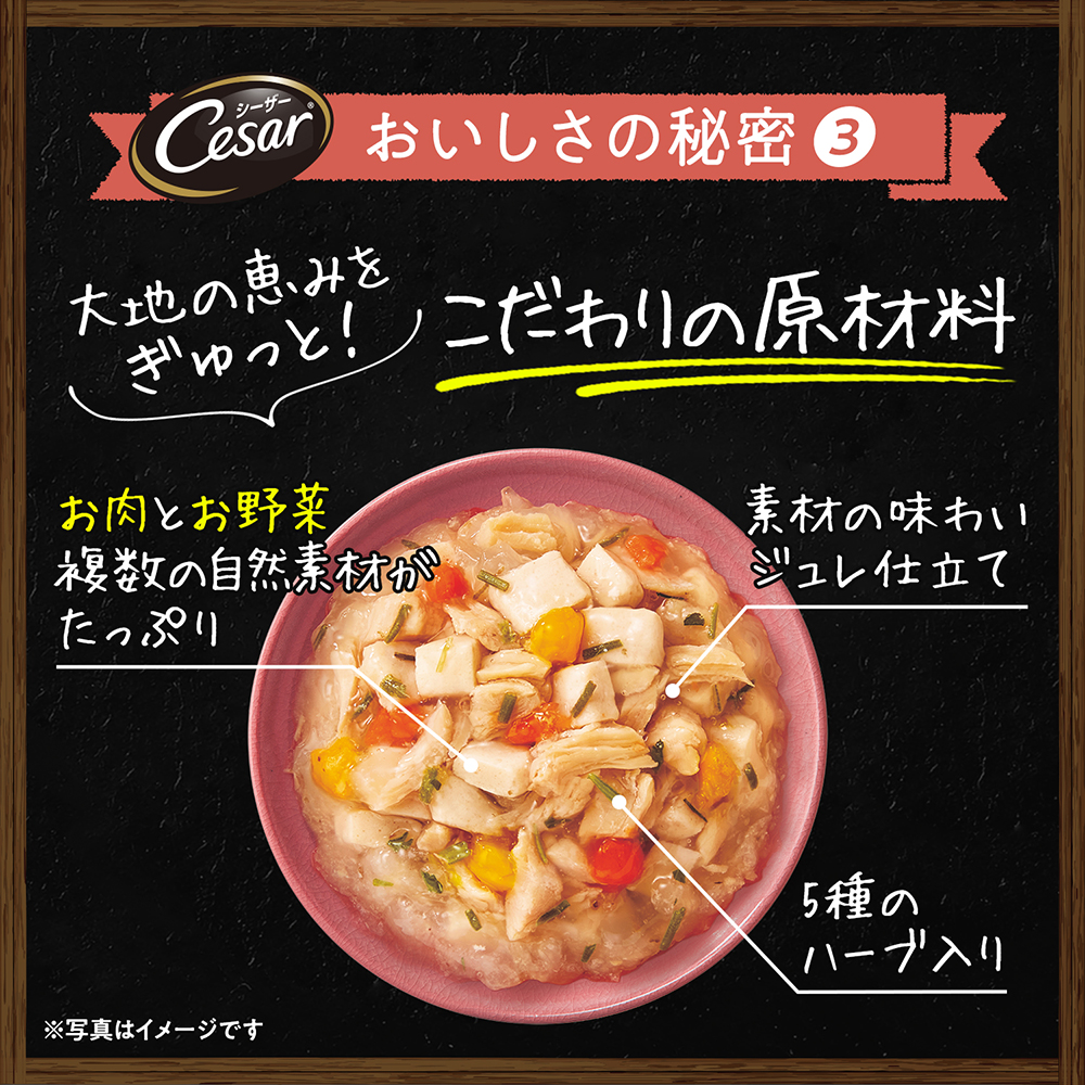 シーザー 自然素材レシピ ささみ＆農園野菜 4個パック | ドッグフード