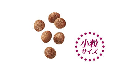 うまみ成分をコーティングく