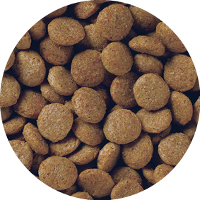 メディコート お腹から健康サポート 子犬 900g | ドッグフード 通販