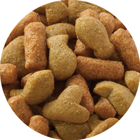 キャットフード chiru シーバ リッチ お魚ミックス まぐろ・たい入り 成猫 キャット