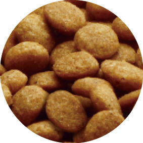 メディファスADグレインフリー1歳C＆F1.25k | キャットフード 通販