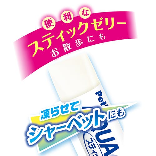 お散歩委に便利な