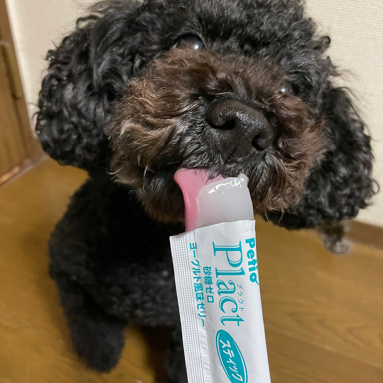 プラクト 砂糖ゼロ ヨーグルト風味ゼリー スティック 8本入 | おやつ