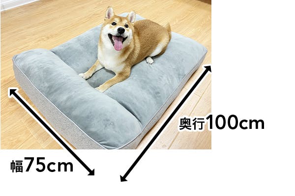 大型サイズのペットベッド