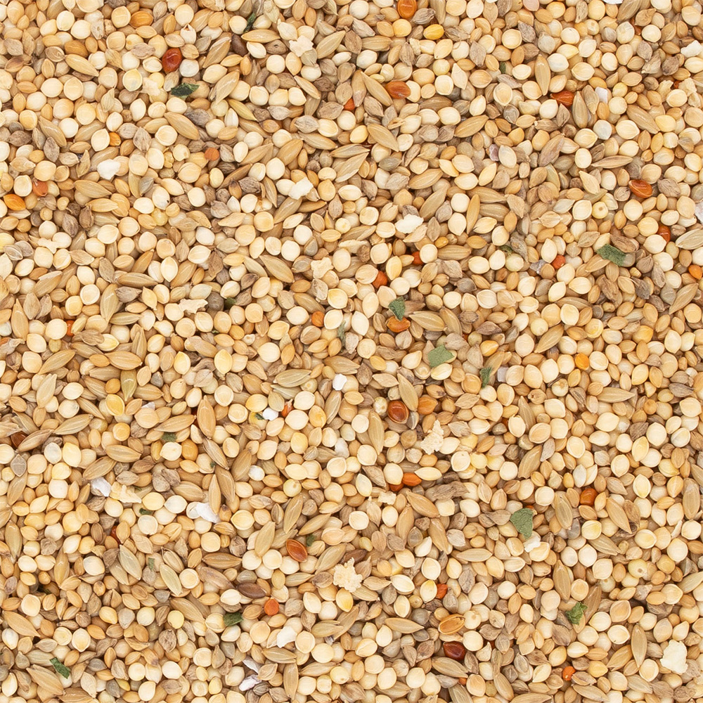 ファインバード セキセイインコ用 800g | ペット用品（小動物・鳥・亀