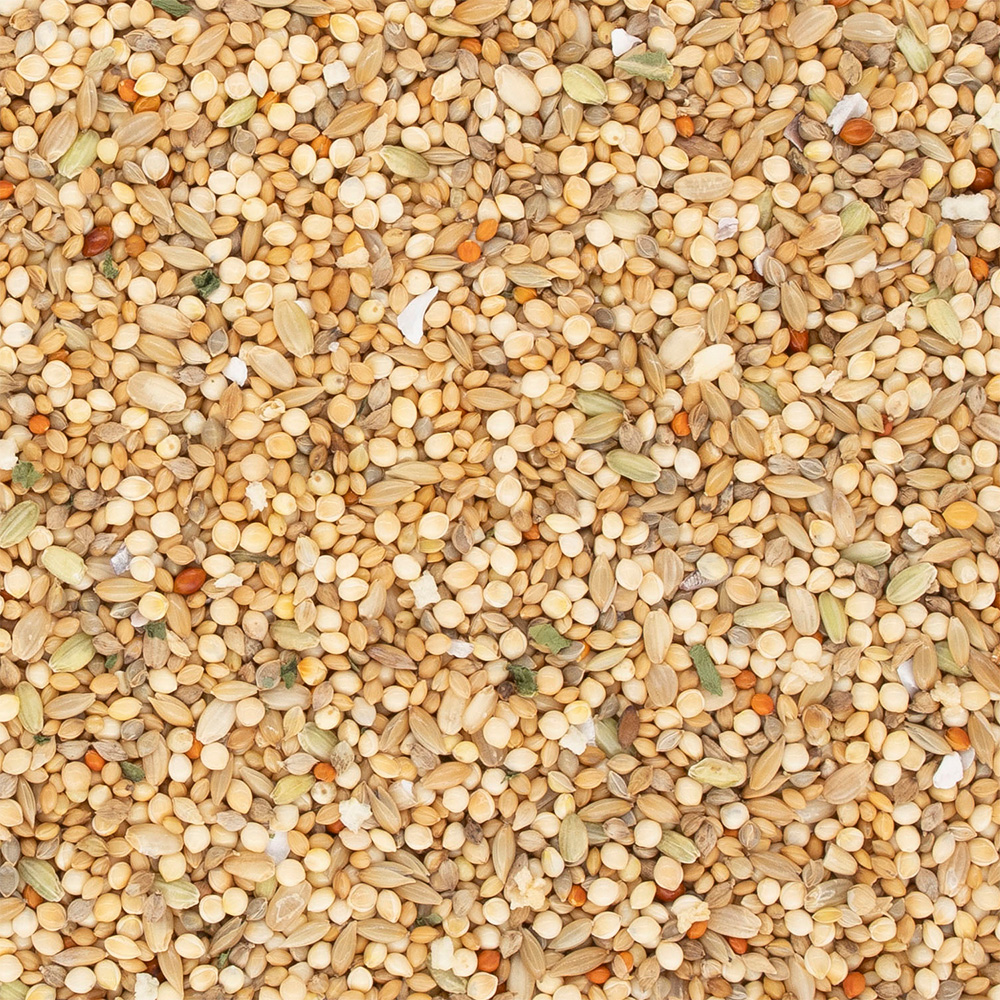 ファインバード 文鳥用 800g | ペット用品（小動物・鳥・亀・爬虫類