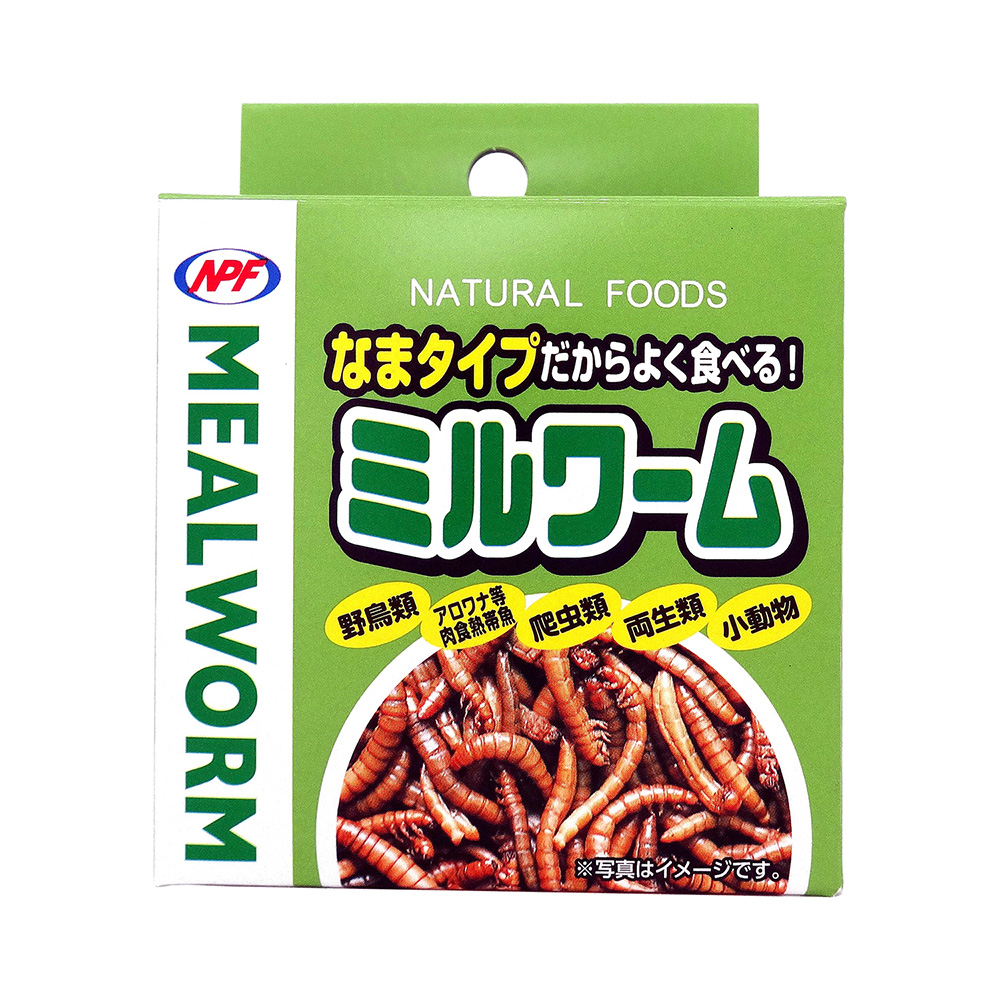 ミルワーム缶 35g | ペット用品（小動物・鳥・亀・爬虫類） 通販