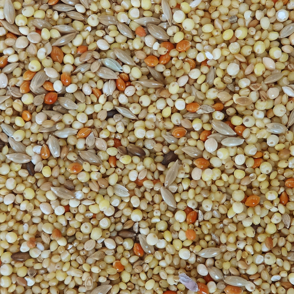 エクセル おいしい小鳥の食事 皮むき 8Kg | ペット用品（小動物・鳥