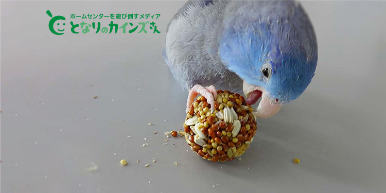 Pet'sOne ひまわりの種 3.0kg | ペット用品（小動物・鳥・亀