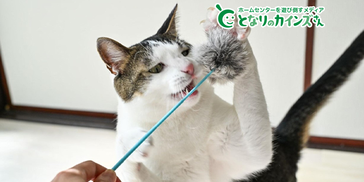 ワイヤー猫じゃらし しっぽ | ペット用品（猫） 通販 | ホームセンター