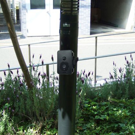リーベックス 防雨型センサーカメラ SD1500 防犯カメラ 電池式 防水