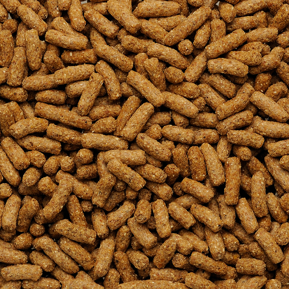 プチラビットキャロット味 600g | ペット用品（小動物・鳥・亀・爬虫類