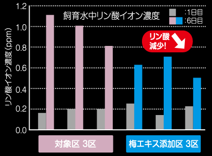 きんぎょのえさ5つの力 色あげ 80g | 水中生物用品・水槽用品 通販