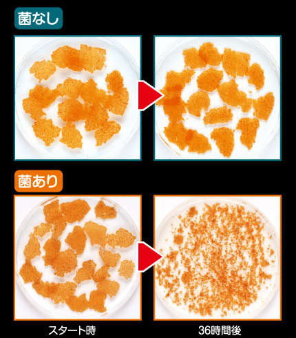 キョーリン メダカプロス 140g | 水中生物用品・水槽用品 通販
