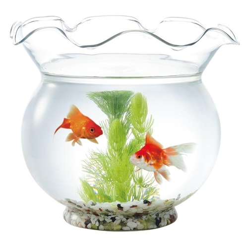 GEX 匠の技が生きる金魚鉢 中 | 水中生物用品・水槽用品 通販