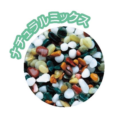 金魚にピッタリな和風テイストのレイアウトに!
