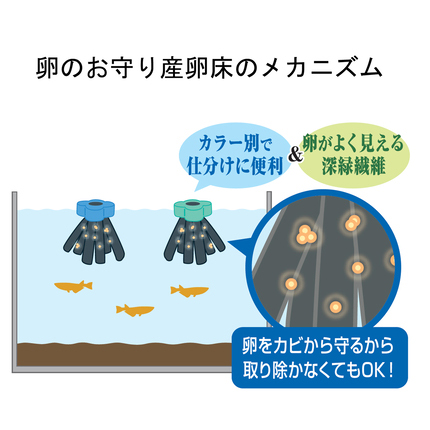 GEX メダカ元気 卵のお守り産卵床 4色セット | 水中生物用品
