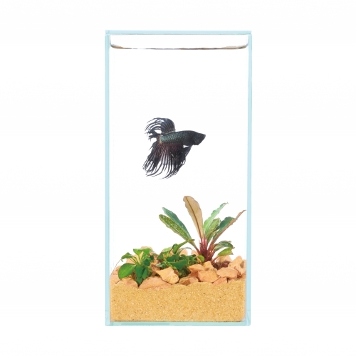 GEX グラステリア フィット 100 | 水中生物用品・水槽用品 通販