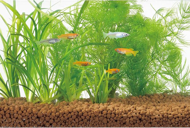 カリメロ専用 まとめ） メダカ水景ろ過する赤玉土 2.5L （ペット用品） 【×5