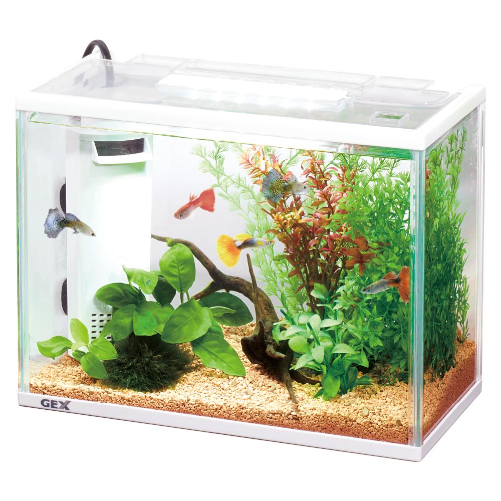 GEX サイレントフィットアルファ300 水槽セット 幅32×奥行16.3×高さ