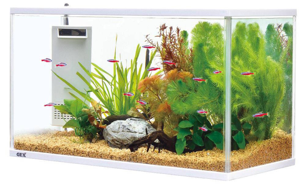 水槽 haogaotong 関西エアポート株式会社様に短期レンタル！大阪・関西万博の120cm水槽