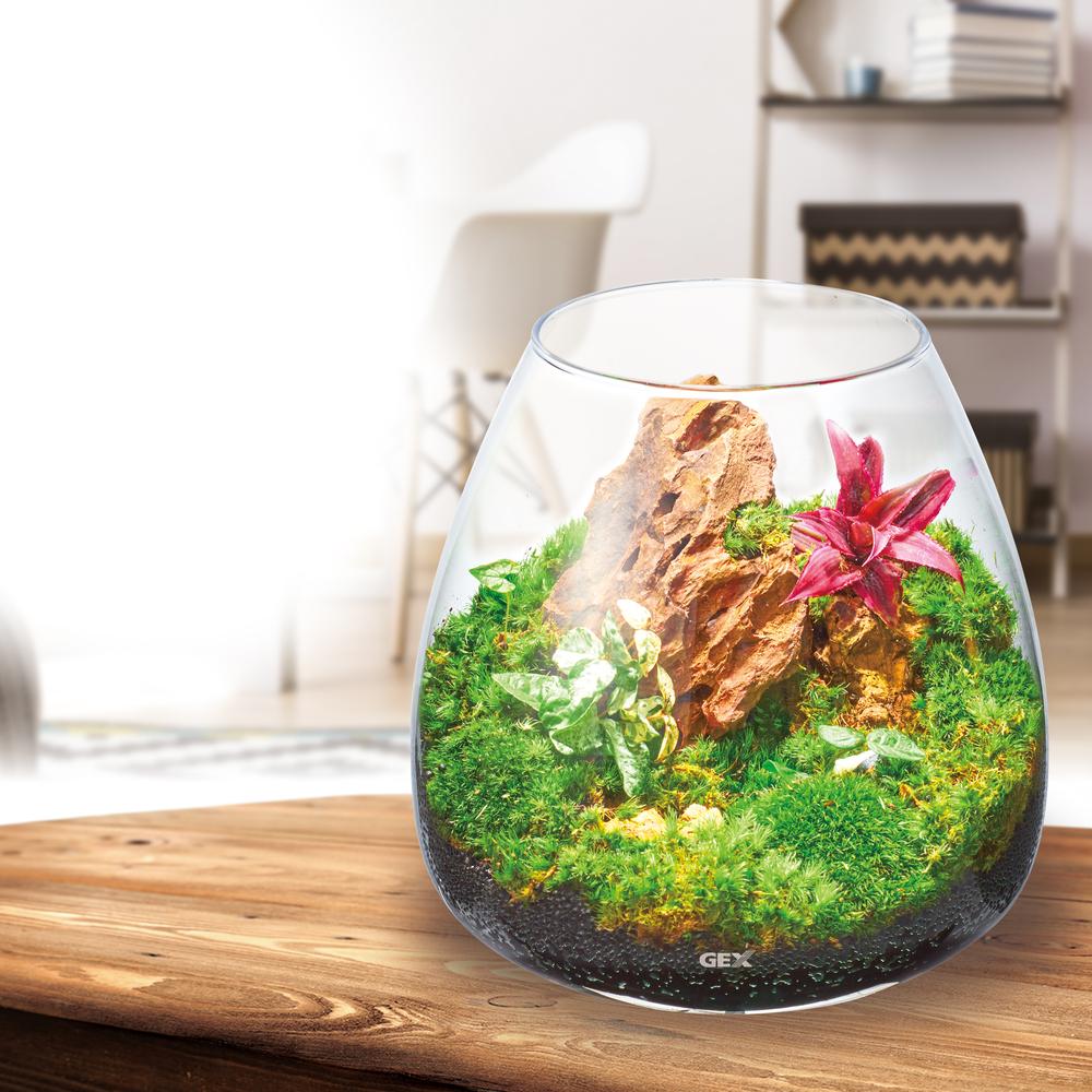 ♪なぉ【新品】 アサクラ おまとめ購入 PNT プレミアム桜 オールド ｜ 【アデリア公式】ガラス雑貨の卸・仕入