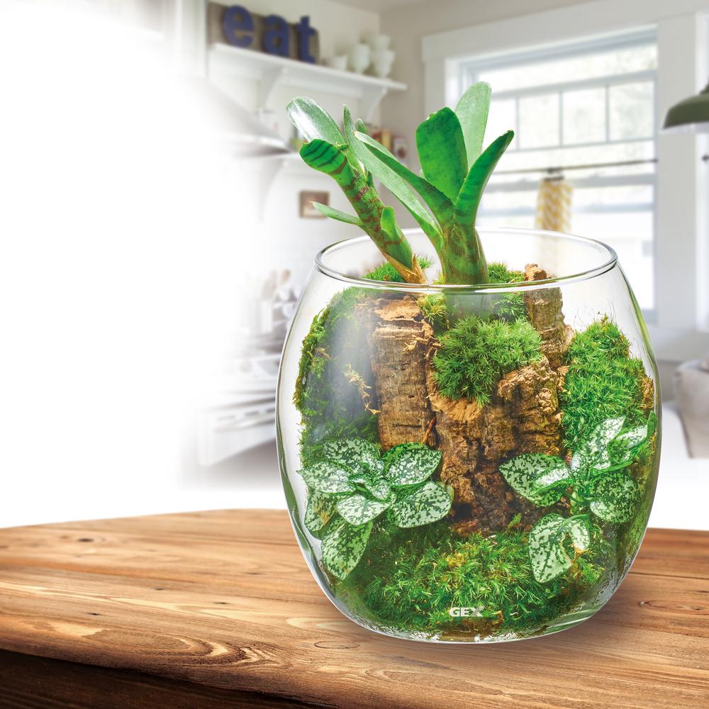 GEX グラスアクア ドロップ 緑を楽しむ 手作りガラス製品 | 水中生物